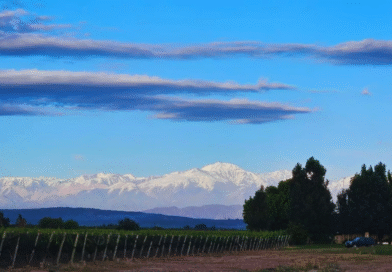 El INTA y productores impulsan espacios de conservación en sistemas de producción