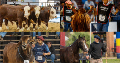 Las NACIONALES 2026 se preparan para una semana de genética y grandes negocios