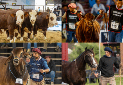 Las NACIONALES 2026 se preparan para una semana de genética y grandes negocios Las NACIONALES 2026 se preparan para una semana de genética y grandes negocios