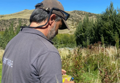 Ensayo a campo en la región cordillerana de las provincias de Neuquén y Chubut