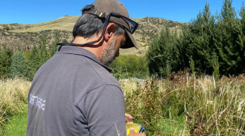 Ensayo a campo en la región cordillerana de las provincias de Neuquén y Chubut