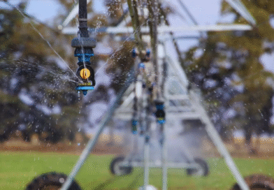 ¿Cuánto cuesta incorporar riego tras la aprobación del RIMI?