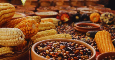 Buscan conservar variedades criollas y nativas para preservar la diversidad genética