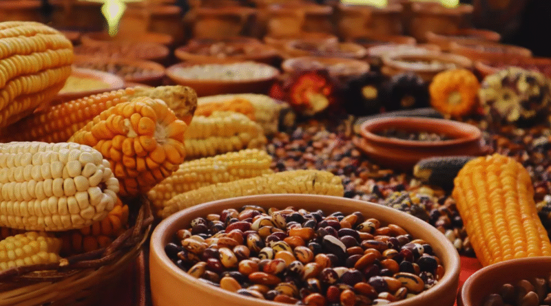 Buscan conservar variedades criollas y nativas para preservar la diversidad genética