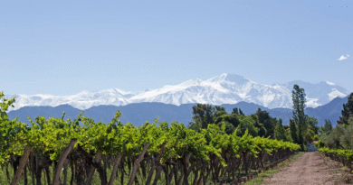 Playas, viñedos y montañas: el paisaje argentino que parece sacado de la Toscana italiana