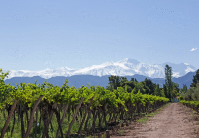 Playas, viñedos y montañas: el paisaje argentino que parece sacado de la Toscana italiana
