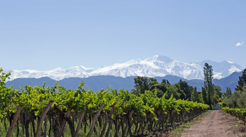Playas, viñedos y montañas: el paisaje argentino que parece sacado de la Toscana italiana