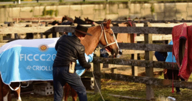 Certificación sanitaria de 62 caballos criollos que participaron de la Expo FICCC 2026 en Uruguay