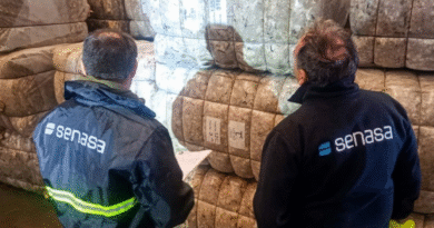 Se concretó la primera exportación de lana sucia desde una barraca de campo de Chubut Se concretó la primera exportación de lana sucia desde una barraca de campo de Chubut