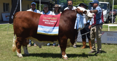 El Gobierno Nacional implementó beneficios impositivos para incentivar el mejoramiento genético animal