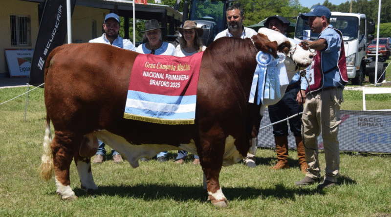 El Gobierno Nacional implementó beneficios impositivos para incentivar el mejoramiento genético animal El Gobierno Nacional implementó beneficios impositivos para incentivar el mejoramiento genético animal