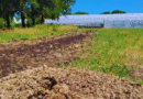 Optimizan el compostaje para uso agronómico