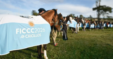 La mirada de los protagonistas del Mundial de los Criollos