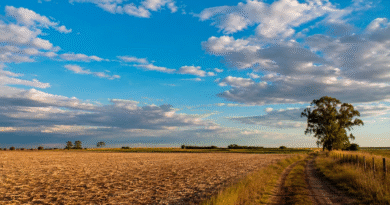 Tiempo en Argentina: escasas lluvias y temperaturas en recuperación durante la última semana de mayo
