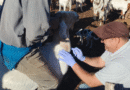 Tareas sanitarias para el relevamiento de brucelosis en rodeos caprinos