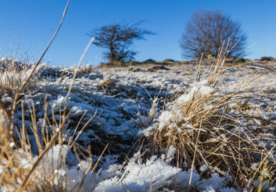 Patagonia: un frente traerá lluvias, nevadas aisladas y cambios de temperatura esta semana Patagonia: un frente traerá lluvias, nevadas aisladas y cambios de temperatura esta semana