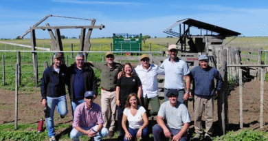 Ensayo a campo: Suplementación con biosales en recría bovina con comederos dosificadores