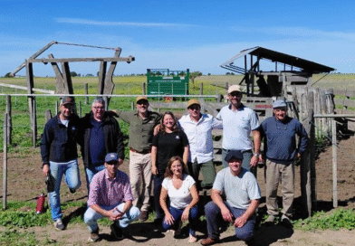 Ensayo a campo: Suplementación con biosales en recría bovina con comederos dosificadores