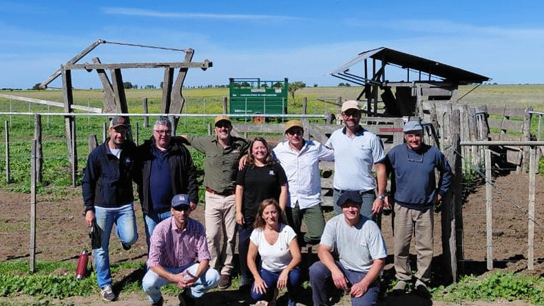 Ensayo a campo: Suplementación con biosales en recría bovina con comederos dosificadores