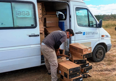 Se evitó el comercio de más de 3000 kg de embutidos cocidos no aptos para consumo