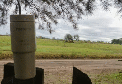 La revolución del mate que no se seba: innovación y practicidad para el trabajo de campo. La revolución del mate que no se seba: innovación y practicidad para el trabajo de campo.