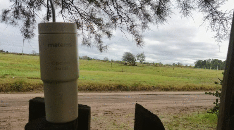 La revolución del mate que no se seba: innovación y practicidad para el trabajo de campo. La revolución del mate que no se seba: innovación y practicidad para el trabajo de campo.
