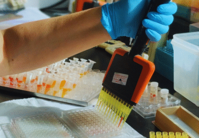 Fortalecen un laboratorio que es referencia mundial en tristeza bovina Fortalecen un laboratorio que es referencia mundial en tristeza bovina