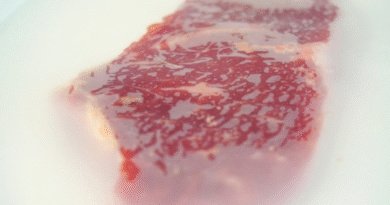 Desarrollan un film biodegradable para conservar carne vacuna