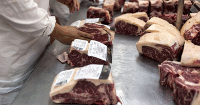 Exportaciones de carne: asignan los cupos de la Cuota Hilton para el nuevo ciclo comercial