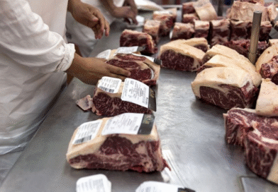 Exportaciones de carne: asignan los cupos de la Cuota Hilton para el nuevo ciclo comercial Exportaciones de carne: asignan los cupos de la Cuota Hilton para el nuevo ciclo comercial