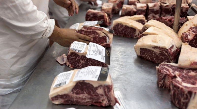 Exportaciones de carne: asignan los cupos de la Cuota Hilton para el nuevo ciclo comercial Exportaciones de carne: asignan los cupos de la Cuota Hilton para el nuevo ciclo comercial
