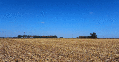 Asocian el manejo agrícola con cambios en el suelo y el carbono