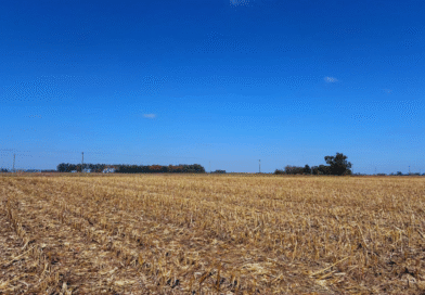 Asocian el manejo agrícola con cambios en el suelo y el carbono Asocian el manejo agrícola con cambios en el suelo y el carbono