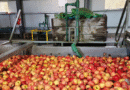 Impulso a la producción agrícola y pecuaria de la Patagonia con estatus diferenciado Impulso a la producción agrícola y pecuaria de la Patagonia con estatus diferenciado