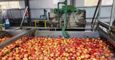 Impulso a la producción agrícola y pecuaria de la Patagonia con estatus diferenciado