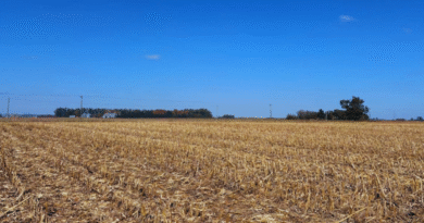 Asocian el manejo agrícola con cambios en el suelo y el carbón.