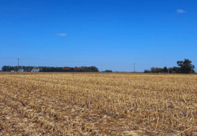 Asocian el manejo agrícola con cambios en el suelo y el carbón. Asocian el manejo agrícola con cambios en el suelo y el carbón.