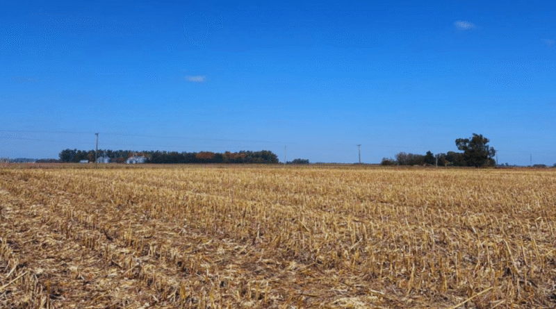 Asocian el manejo agrícola con cambios en el suelo y el carbón. Asocian el manejo agrícola con cambios en el suelo y el carbón.