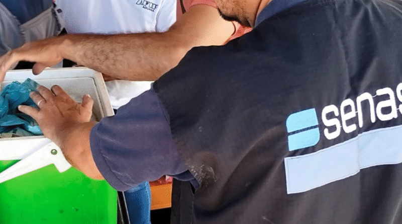 Prevención del PEC en fronteras: Qué productos no se pueden ingresar a la Argentina
