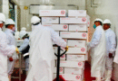 Exportación de más de 20 toneladas de carne caprina con destino a Omán.