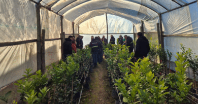 Se fortalece fiscalización de viveros y la calidad y seguimiento del material de propagación vegetal