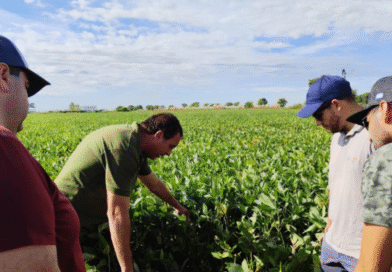La agronomía vuelve al centro de la escena en el Congreso Aapresid La agronomía vuelve al centro de la escena en el Congreso Aapresid
