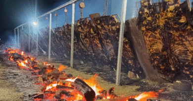 Asado gratis. Se encienden los fogones para asar las 10 vaquillonas y celebrar los 157 años de Gral. Alvear