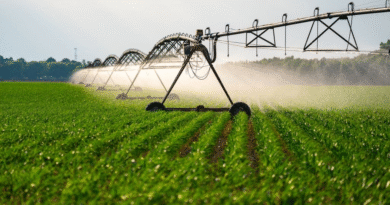 Ni Argentina ni Brasil: el único país del mundo 100 % autosuficiente en alimentos está en Sudamérica
