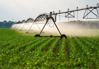 Ni Argentina ni Brasil: el único país del mundo 100 % autosuficiente en alimentos está en Sudamérica Ni Argentina ni Brasil: el único país del mundo 100 % autosuficiente en alimentos está en Sudamérica