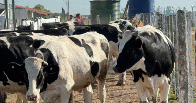 El IPCVA realizará una nueva Jornada a Campo