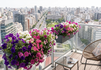 Rumbo a la primavera: las 4 plantas que conviene plantar ahora para llenar el patio de flores desde septiembre Rumbo a la primavera: las 4 plantas que conviene plantar ahora para llenar el patio de flores desde septiembre