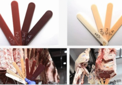 Agricultura moderniza el Protocolo de Tipificación de Calidad de la Carne Vacuna Agricultura moderniza el Protocolo de Tipificación de Calidad de la Carne Vacuna