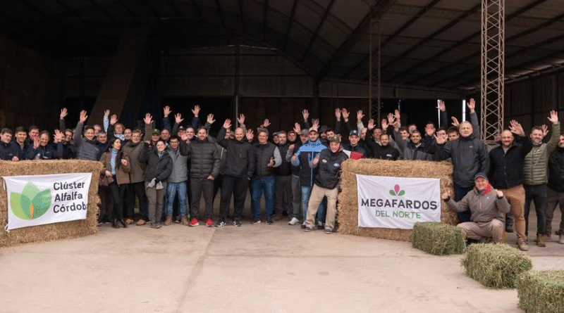 La alfalfa argentina busca blindarse del clima con tecnología de secado.