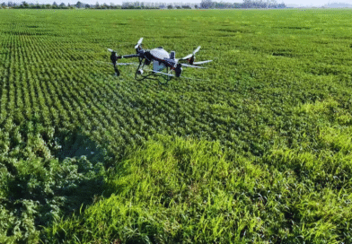 Drones, datos y decisiones: el desafío de una gestión más inteligente Drones, datos y decisiones: el desafío de una gestión más inteligente